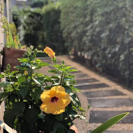 Incantevole, Casa Annetta 800 Mt Dal Mare Viareggio